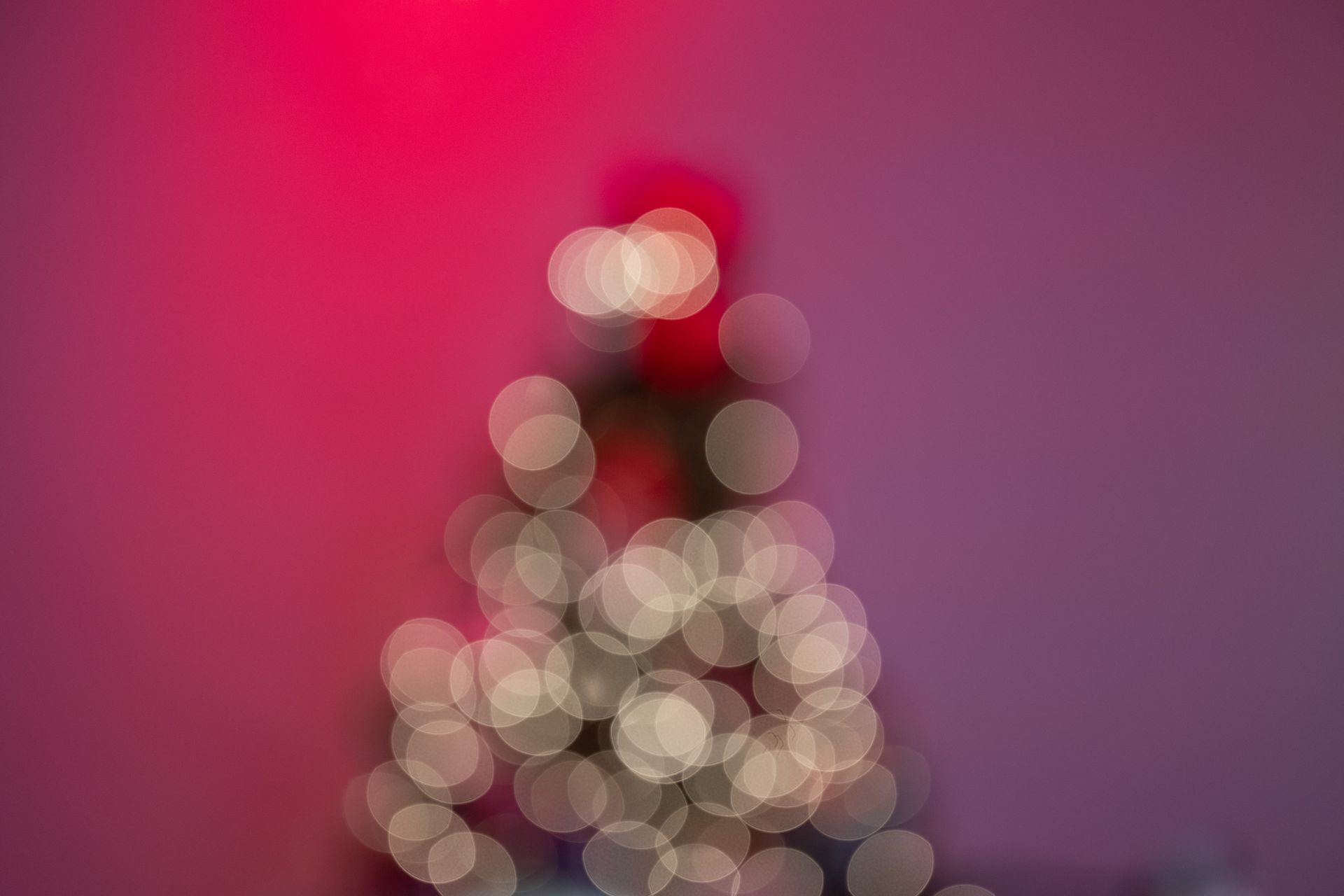 131A1365.jpg