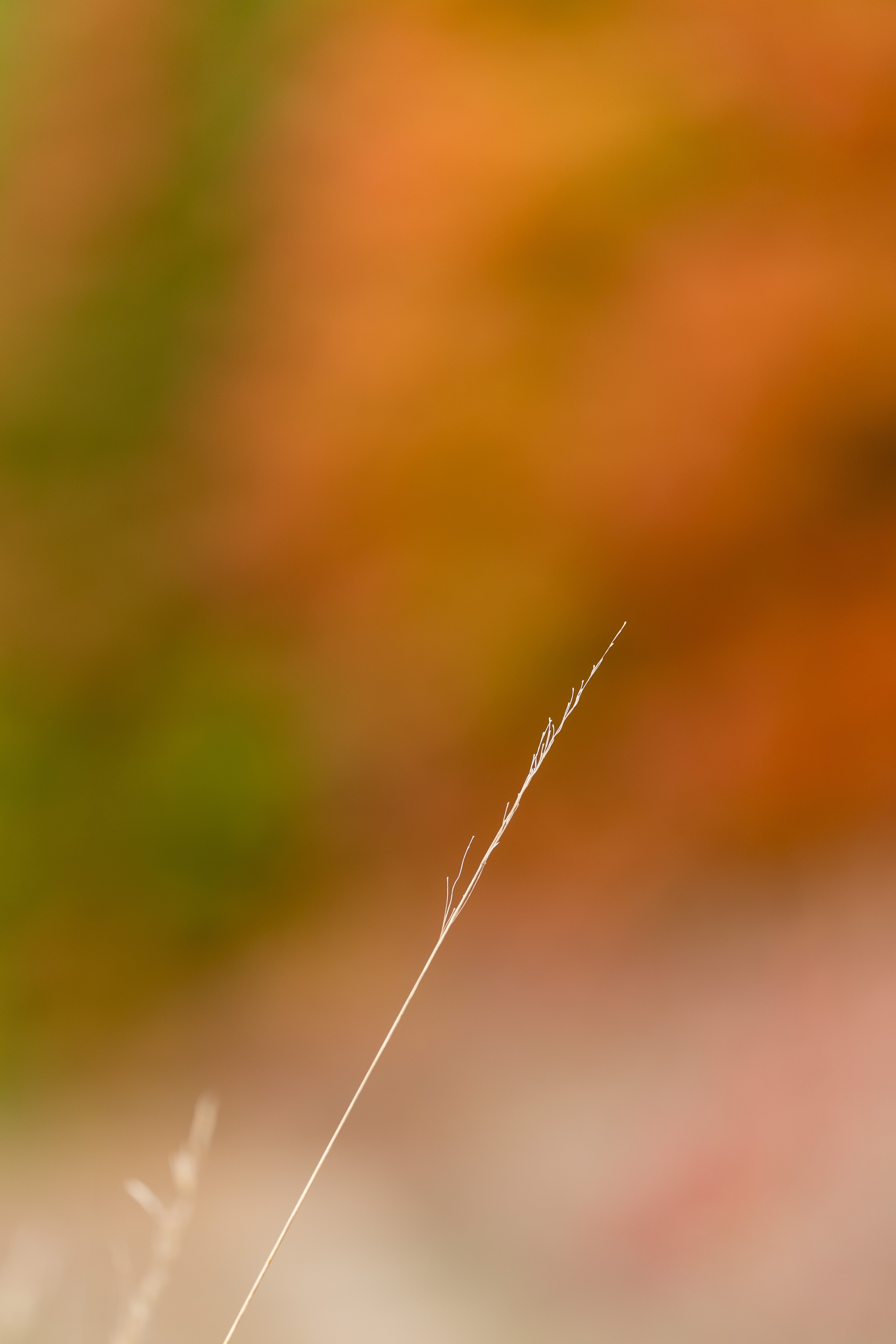 024A7053.jpg