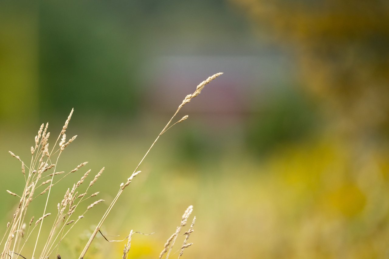 024A8226.jpg